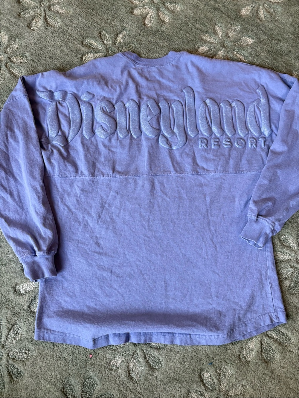 Disneyland Spirit Jersey